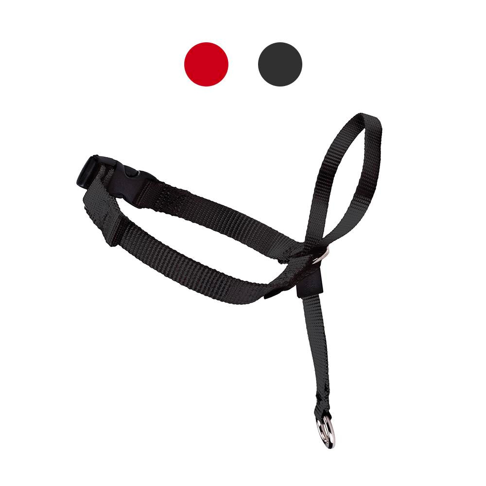 Collare a Cavezza Per Cani Easy Walk - LG, Nero Collare a Cavezza Per Cani Easy Walk - LG, Nero